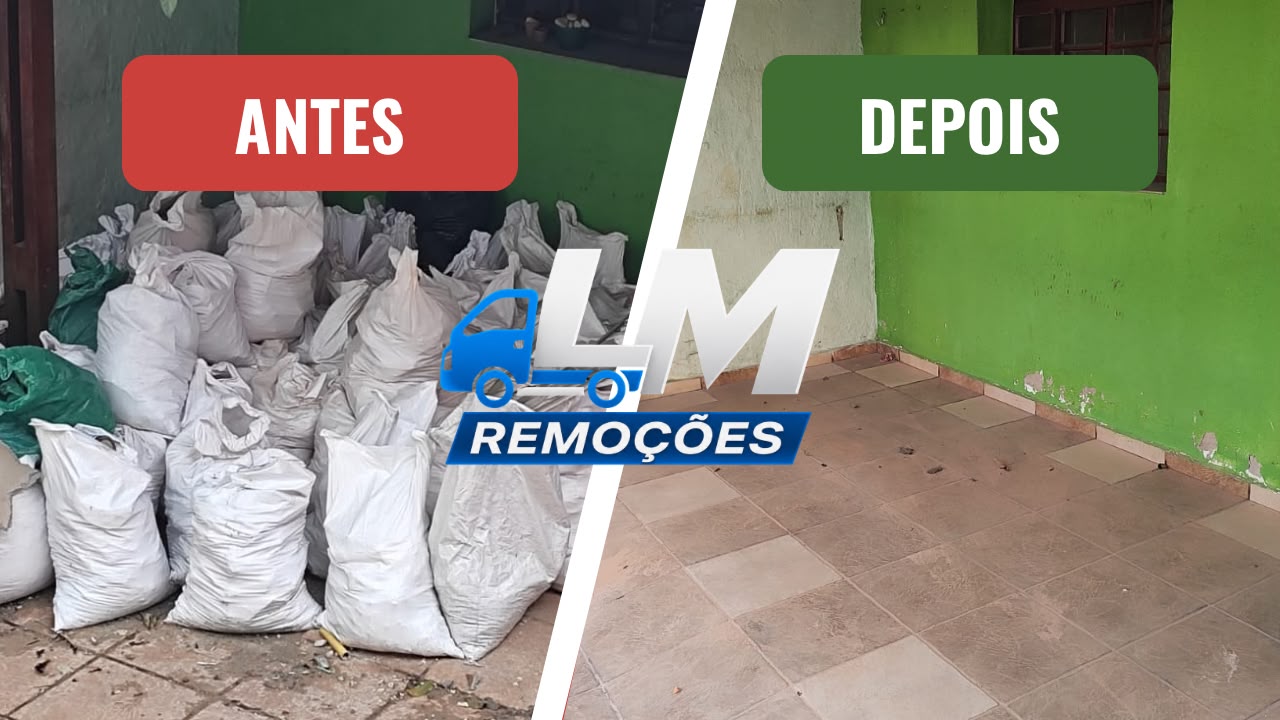 LM Remoções — foto 2