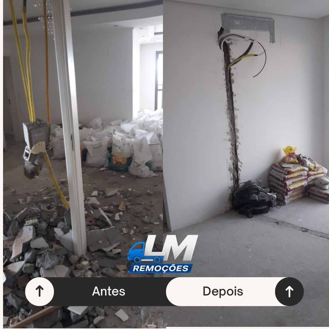 LM Remoções — foto 3