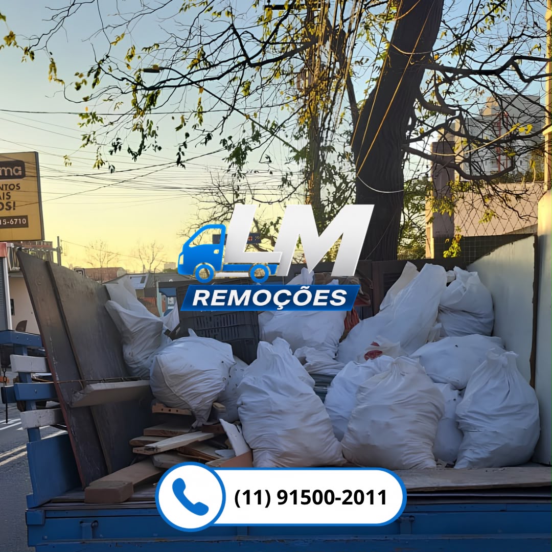 LM Remoções — foto 1
